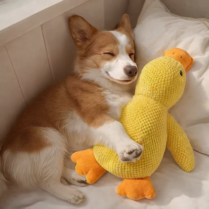 The Indestructible Duck Chew Toy