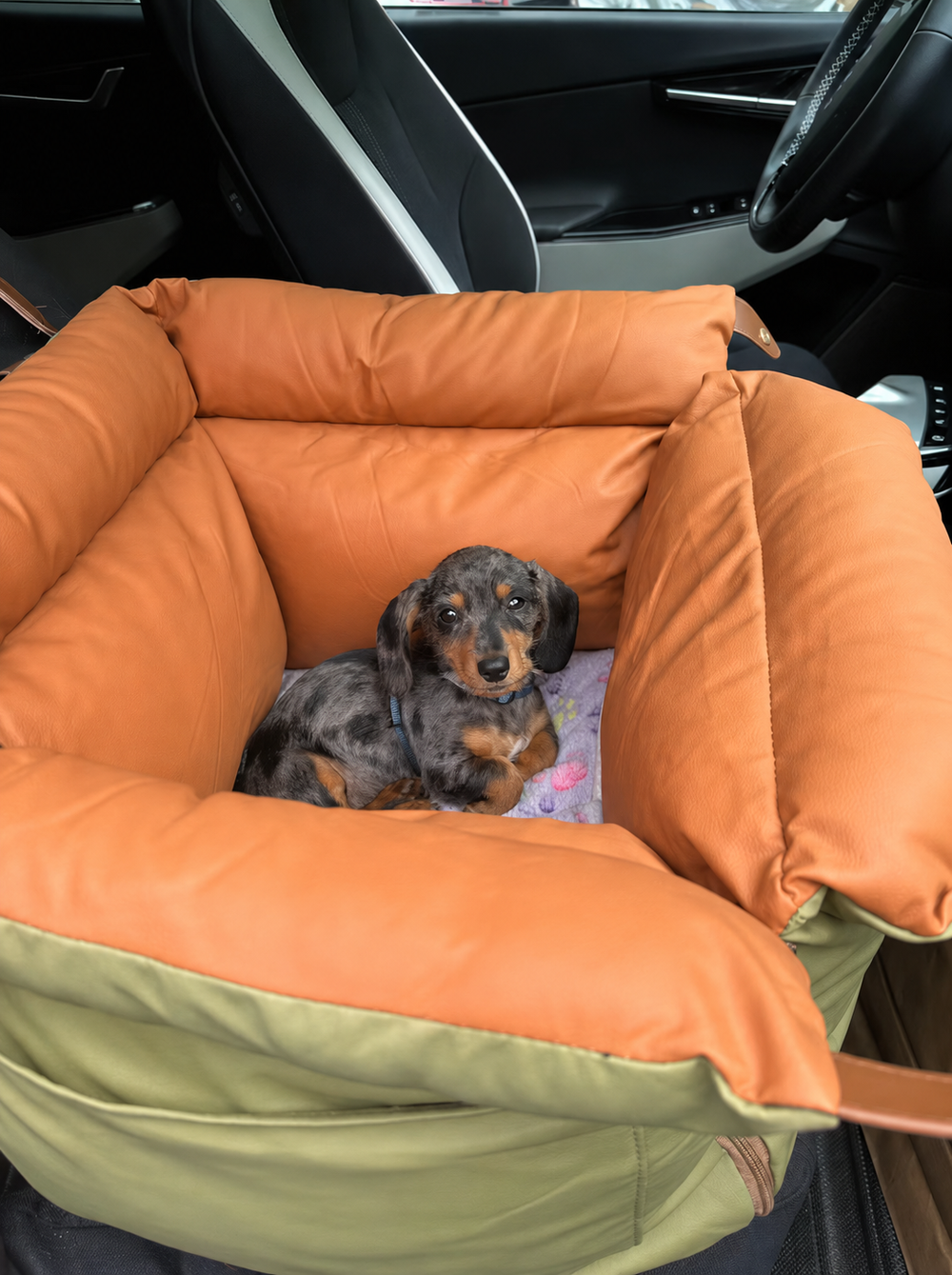 <p>Hear from happy pups and their humans!</p>