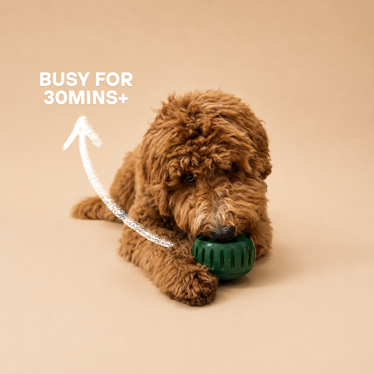 PupperTwist - Dog Ball Treat