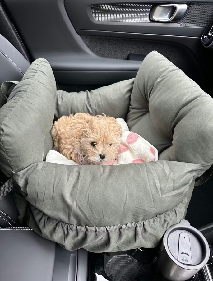 <h6>Hear from happy pups and their humans</h6>