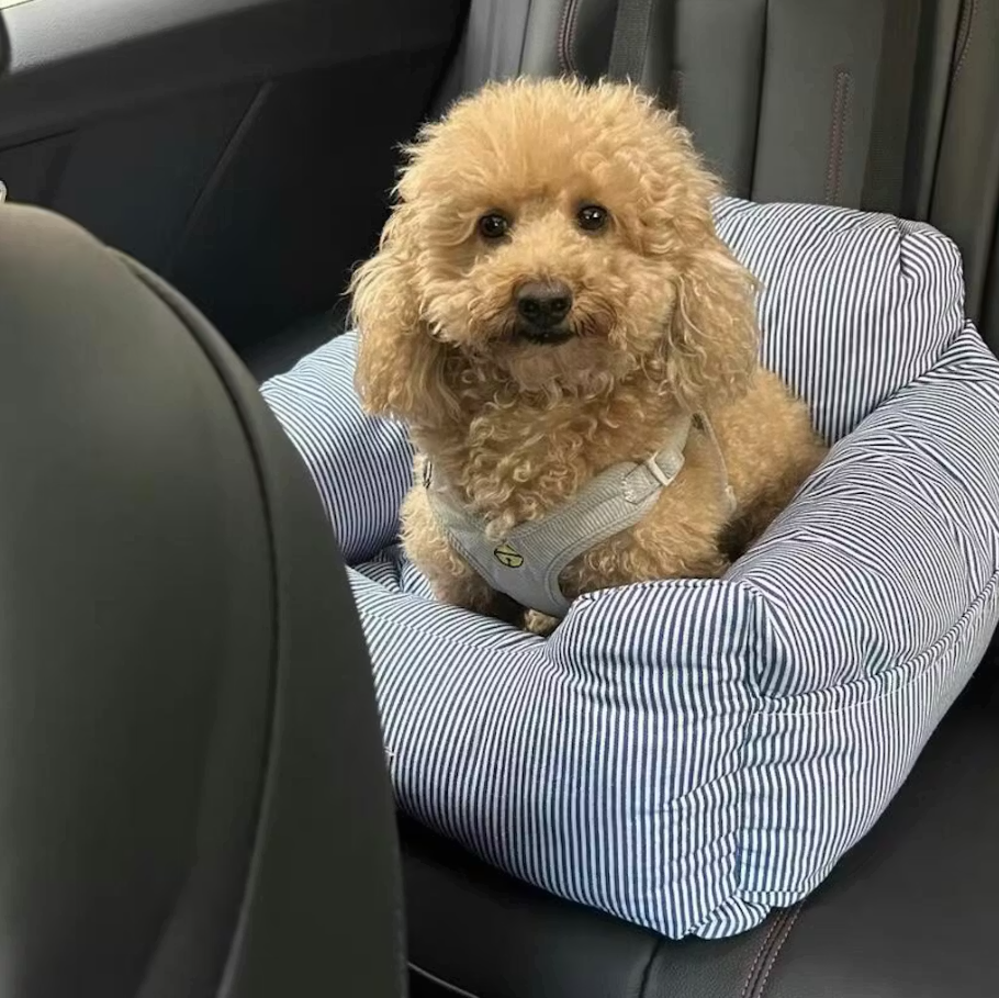 <h6>Hear from happy pups and their humans</h6>
