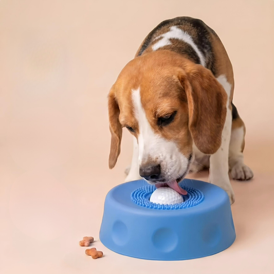 Lickaway Bowl
