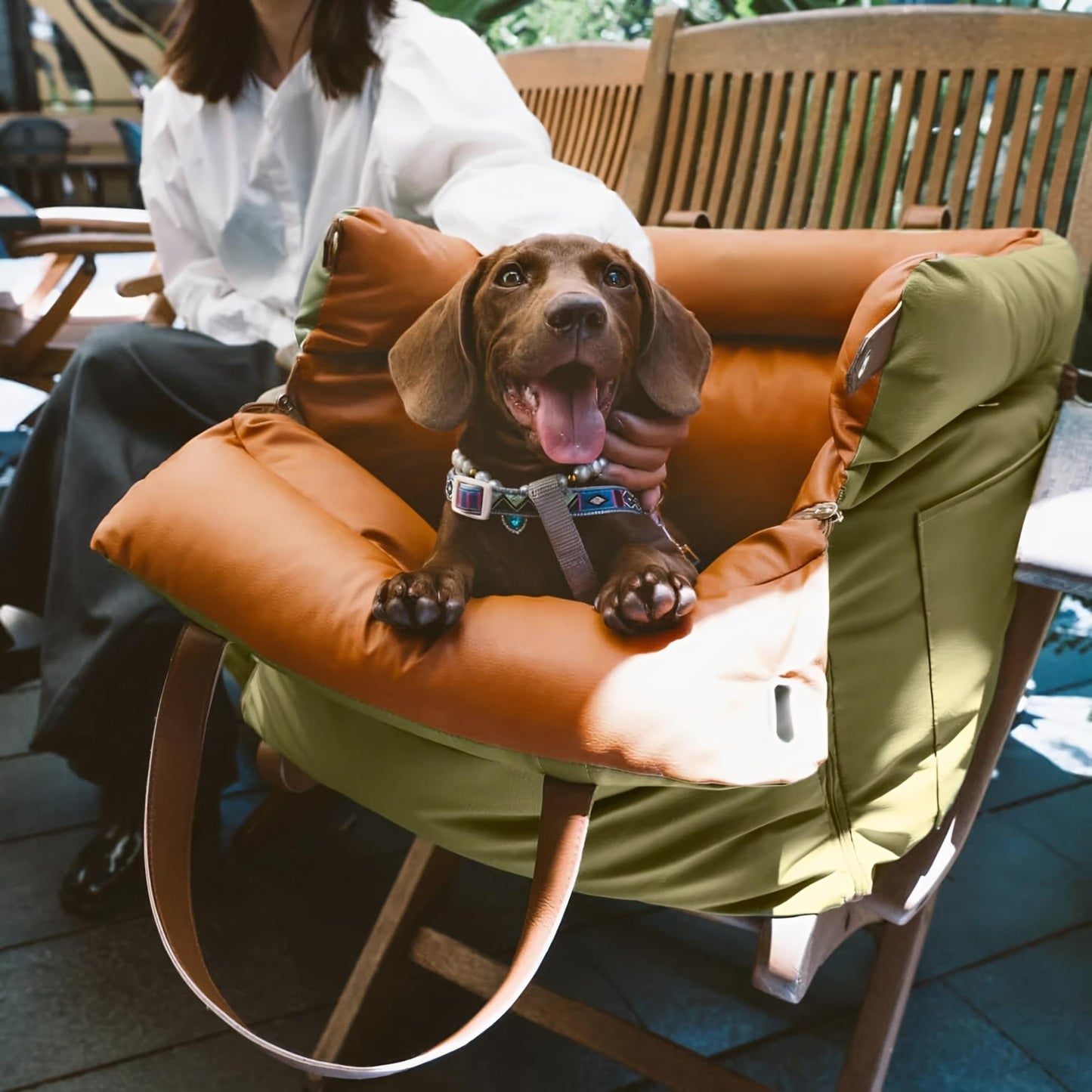 The Essential SoftShell - Pet Car Seat & Booster