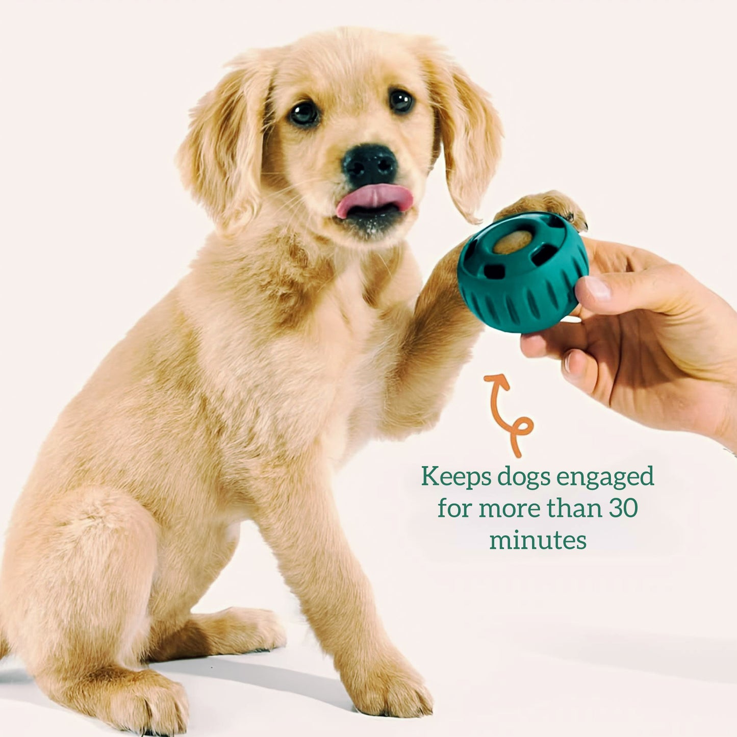 PupperTwist - Dog Ball Treat