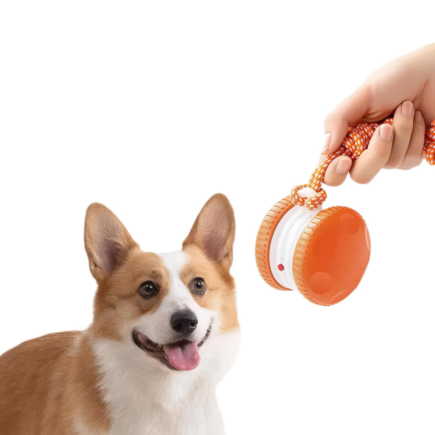 OrbitPup - Interactive Motion Toy