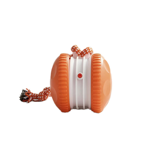 OrbitPup - Interactive Motion Toy