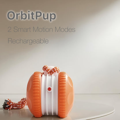 OrbitPup - Interactive Motion Toy